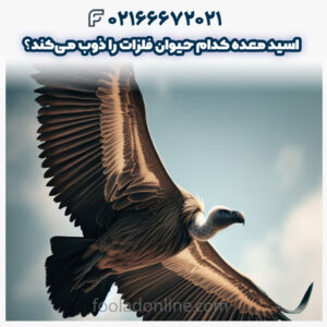 اسید معده این حیوانات می تواند فلزات را ذوب کند