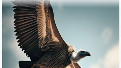 اسید معده این حیوانات می تواند فلزات را ذوب کند