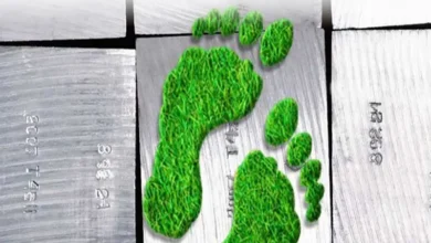 فولاد سبز چیست