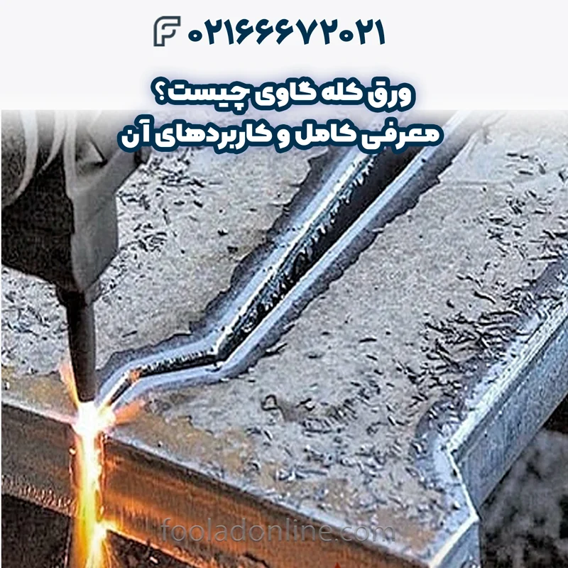 ورق کله گاوی چیست